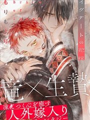 纸鸢与信号塔 档案抽屉封面
